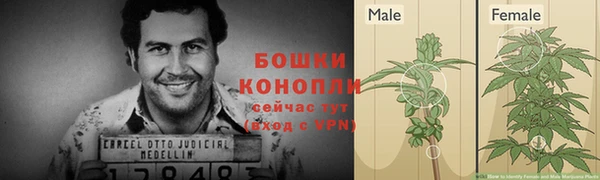 крисы Пересвет