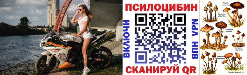 Псилоцибиновые грибы MAGIC MUSHROOMS  как найти   Артёмовский 